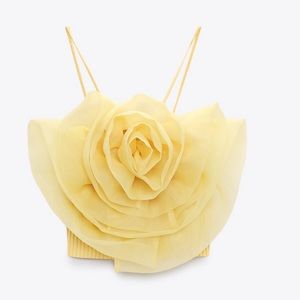 Zara yellow ruffle rose top